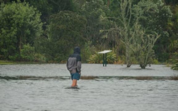 Little Shoal Bay in Auckland's North Shore this morning.