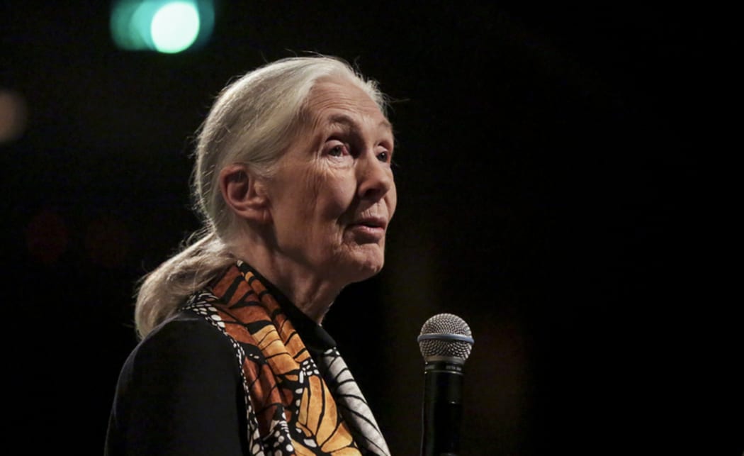 Jane Goodall speaks at her event  “Tomorrow & Beyond Tour”.