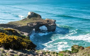 Tunnel Beach is located off the Dunedin to Brighton coastal road.