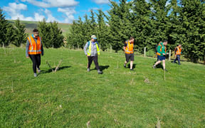 A search has been underway on farmland near Dunedin for a meteorite which fell to Earth about a fortnight ago.