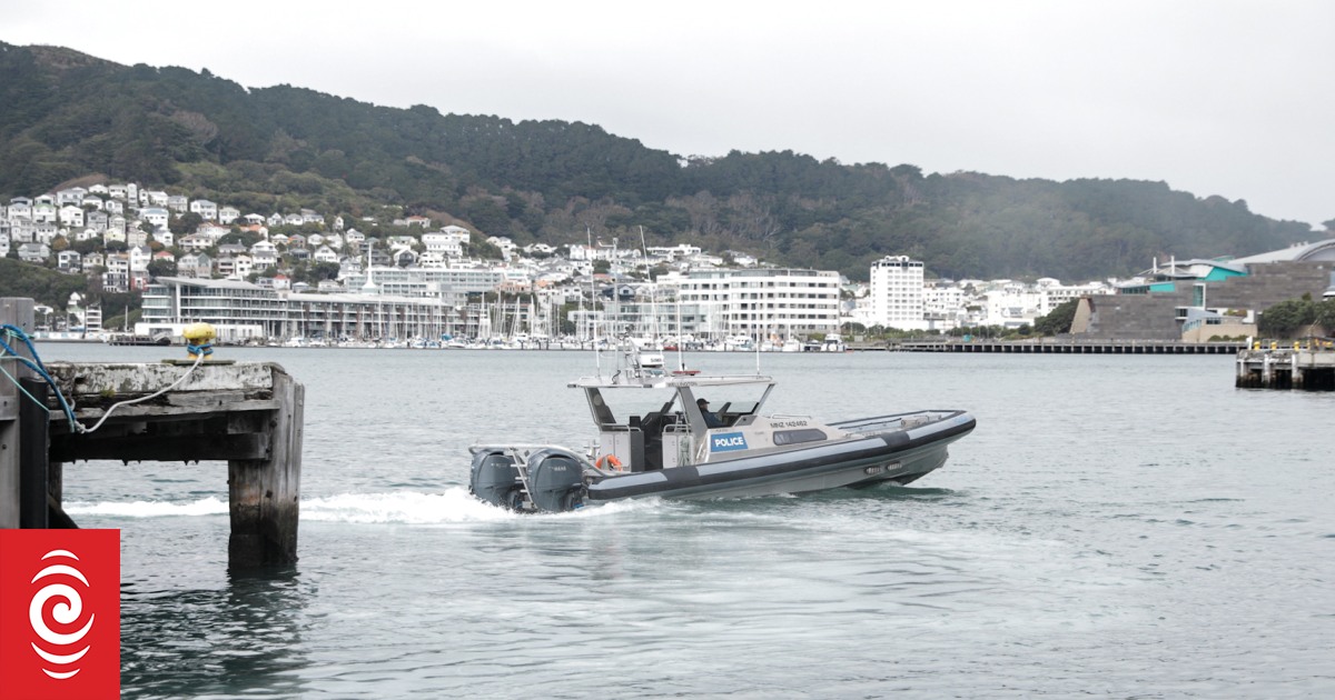 Updates: Wellington Harbour search for man believed overboard on ferry - Vimarsana News
