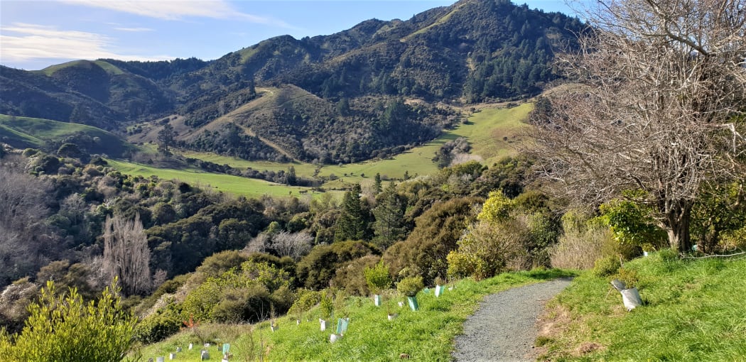 Kaka Valley