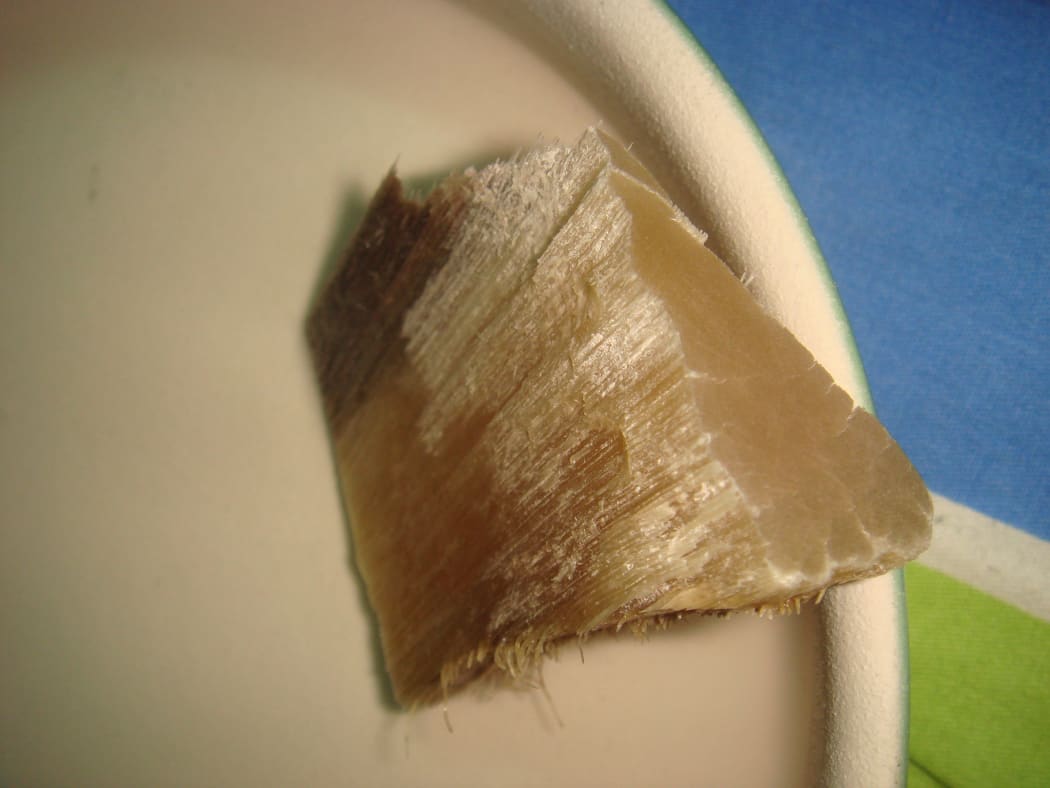 A rhinoceros' horn with a plate used to grind it to powder.