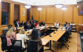 The Abortion Legislation Committee hears from submitters on abortion law reform
