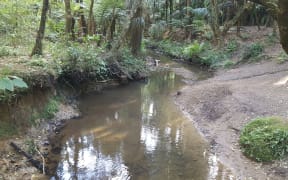 Puhinui stream