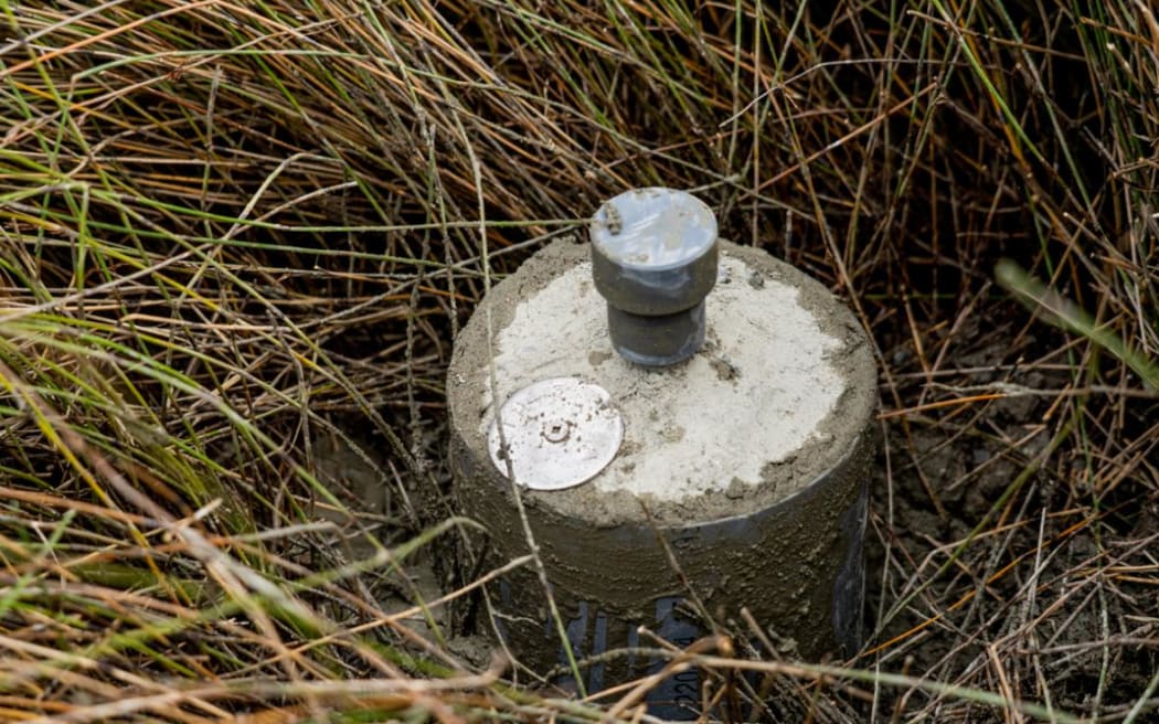 One of 12 RSET monitoring devices installed at Athenree estuary to measure changes in the sediment level of the estuary over time.