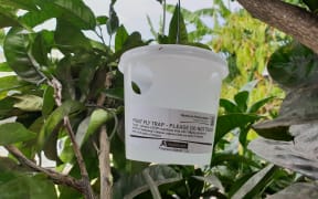 A fruit fly trap in Ōtara.