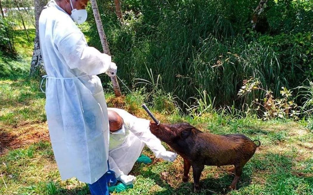 NAQIA field officers collecting samples.