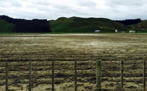 Gary Massicks farm showing flood silt still wet one month after.