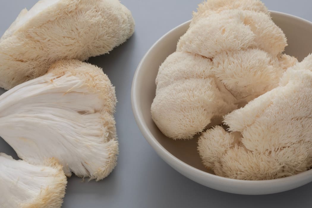 Lion's Mane mushrooms