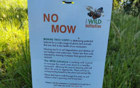 The Wild Initiative's No Mow sign at Grey Lynn Park, Auckland