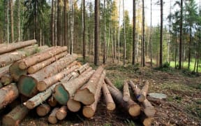 Logging (stock shot)