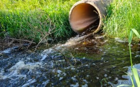 Water is discharged from the plant.