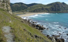 Waipatiki Beach, near Hastings