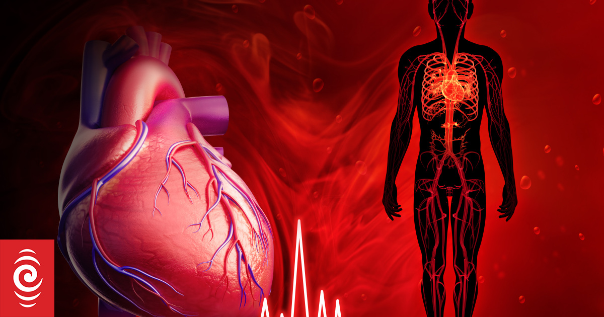 Could a 'digital twin' be the future of healthcare? - Vimarsana News
