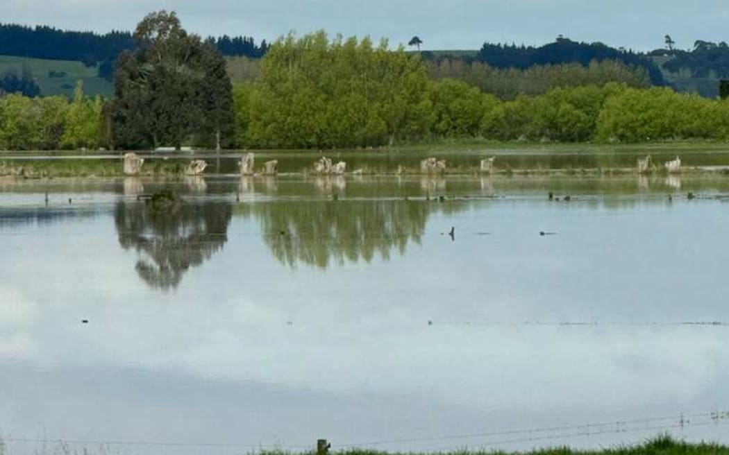 Wet paddocks down in Southland.