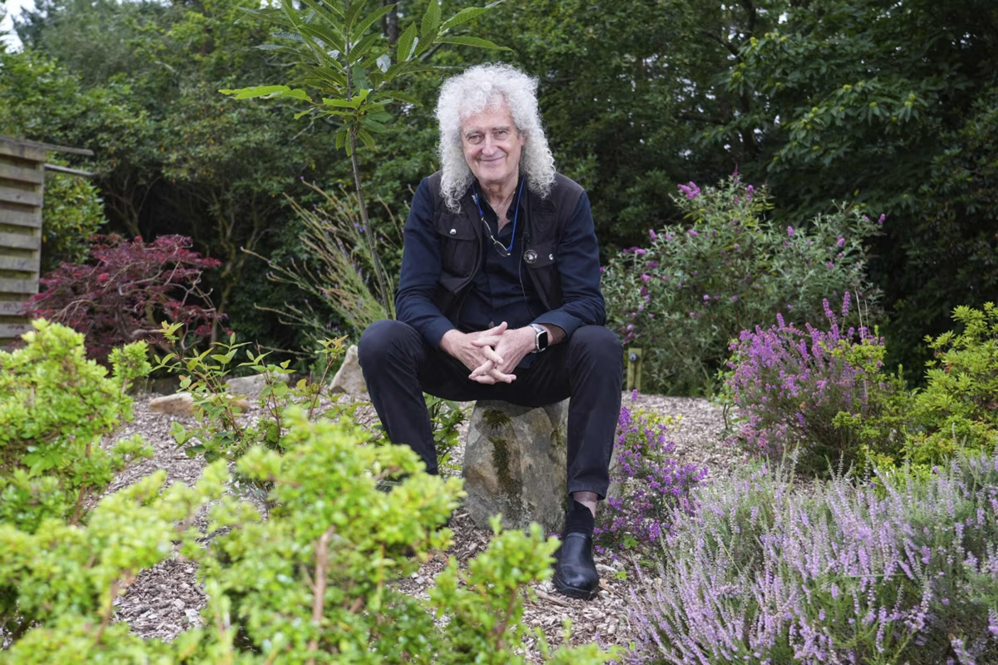 What Brian May Daffodil Planting Ban changes — image 3