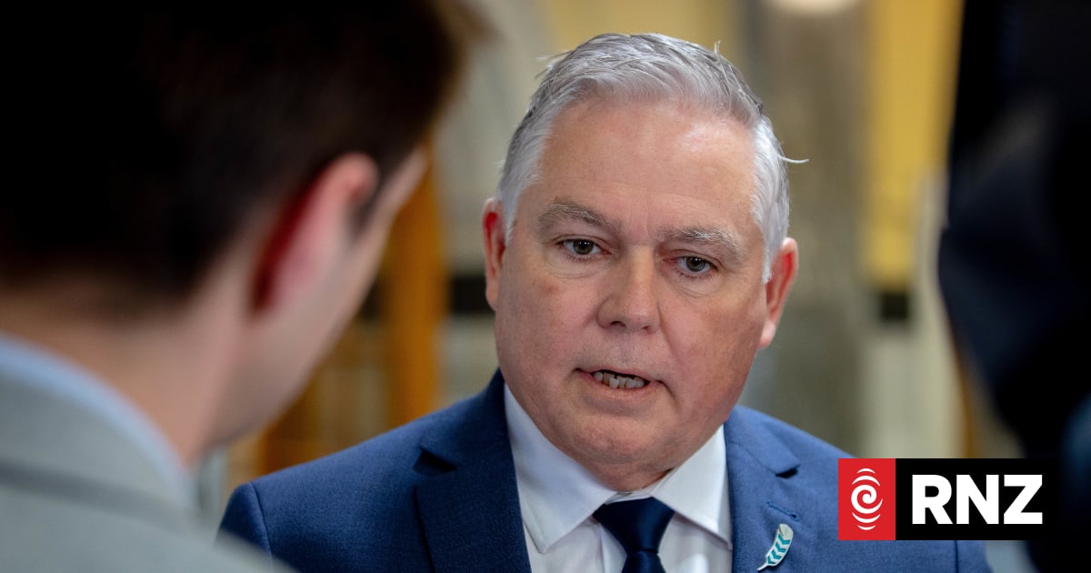 Police Minister hits out at character attacks over Labour candidate cop