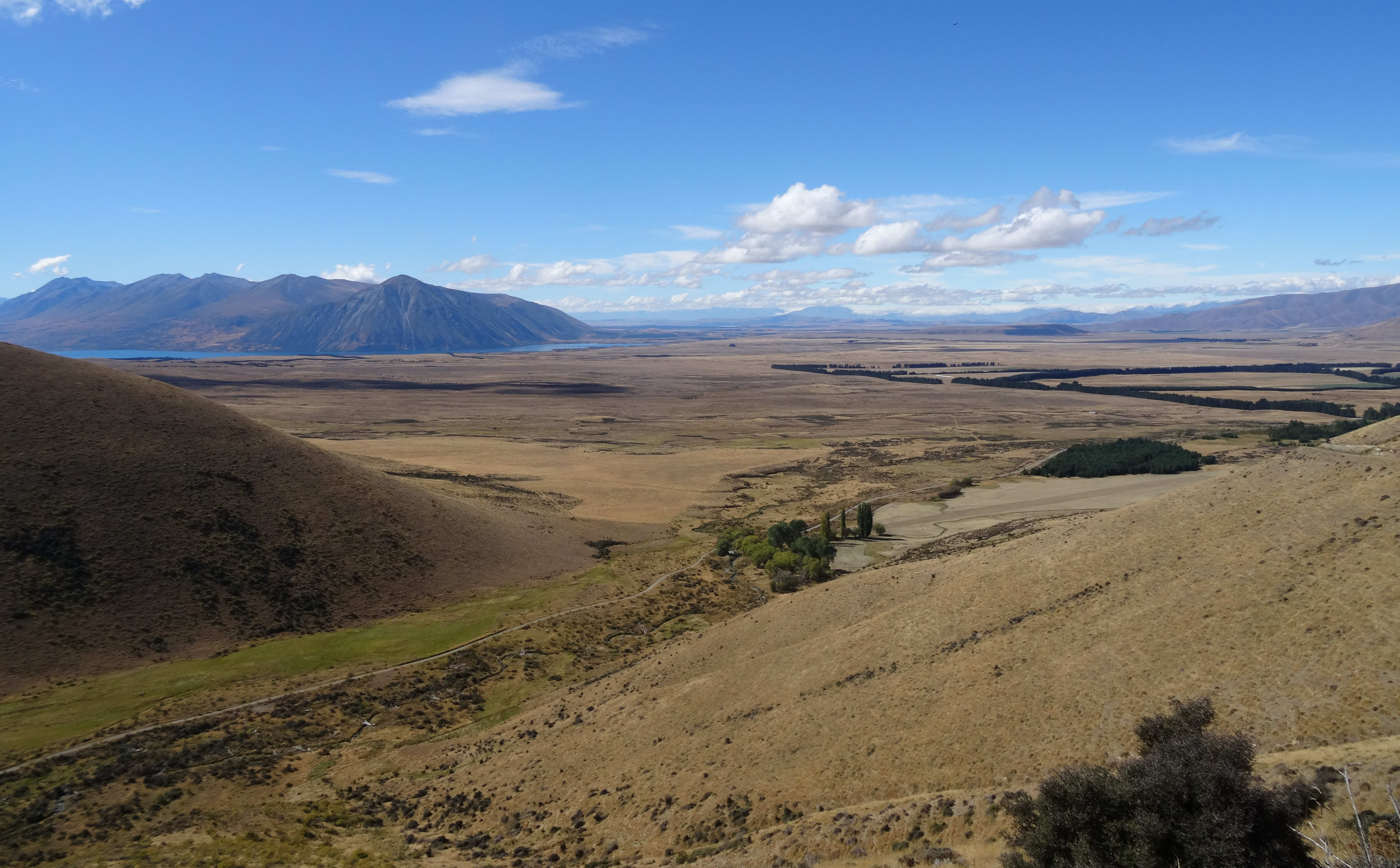 Mackenzie country looking towards Lake Ohau. The Mackenzie Basin could face a transformation as farmers look to intensify operations.