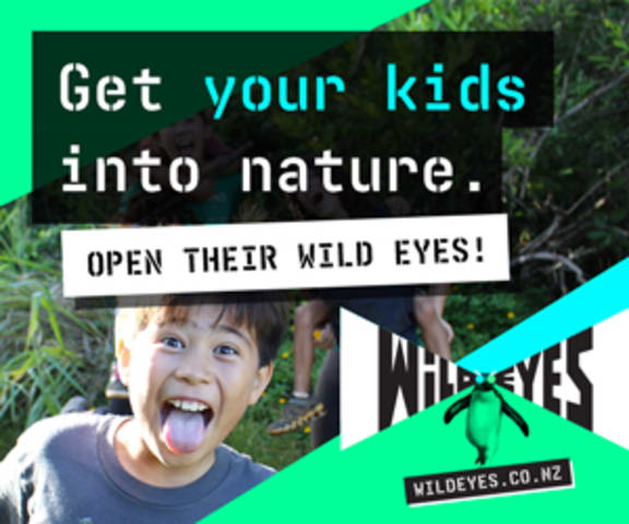 Wild Eyes