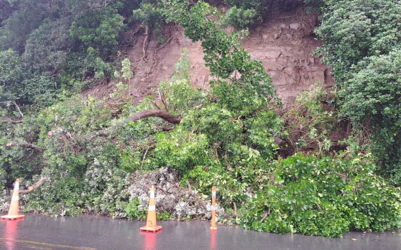 A slip on Ngapipi road, near Tamaki Drive in February 2023.