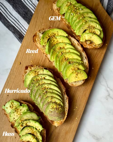 Julie North put four types of avocado to the test on a slice of sourdough.