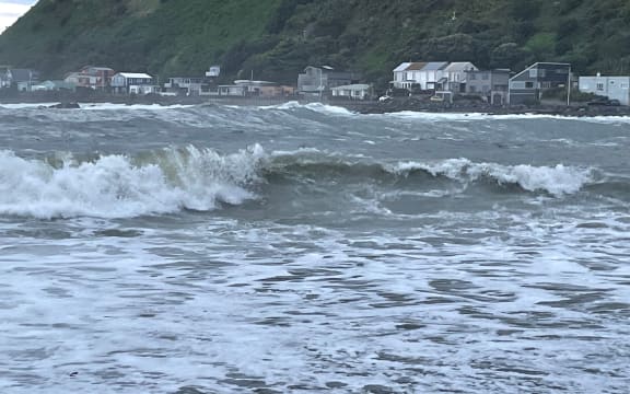Heavy swells and debris on Wellington's south coast.