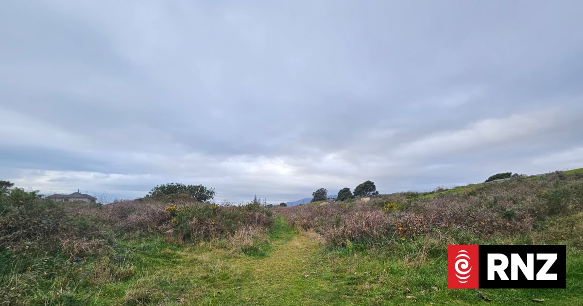 Council votes to restore protections for Waikanae urupā after 56 years