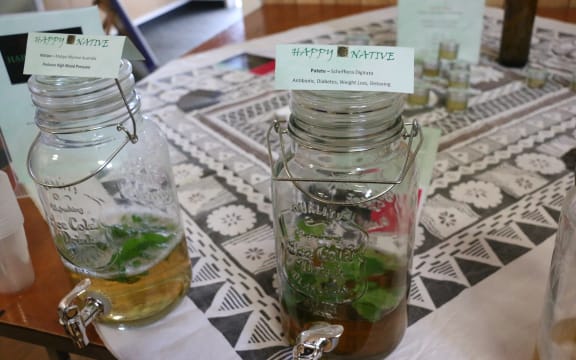 Rongoā Māori (Tonics made from native plants)