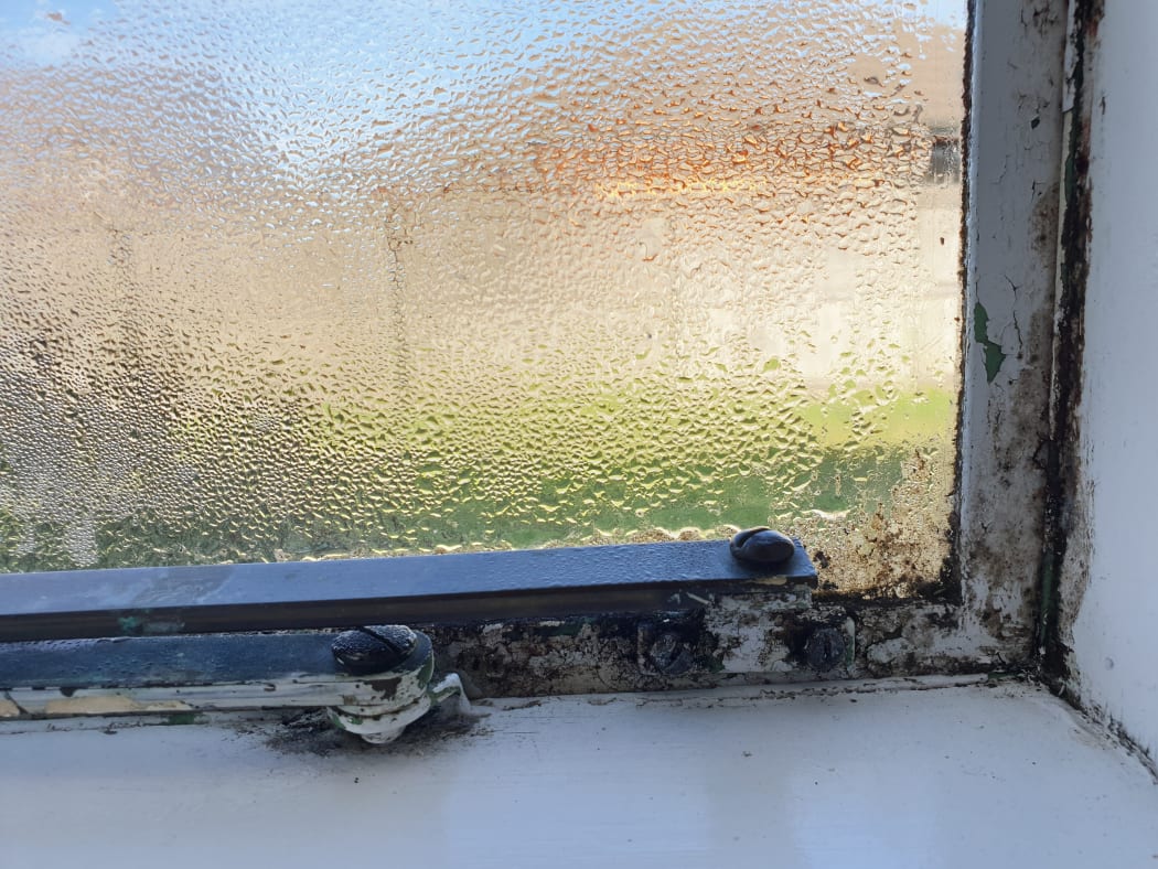 Frank Poissonnier's home at a social housing complex in Christchurch has mould on the window edges.