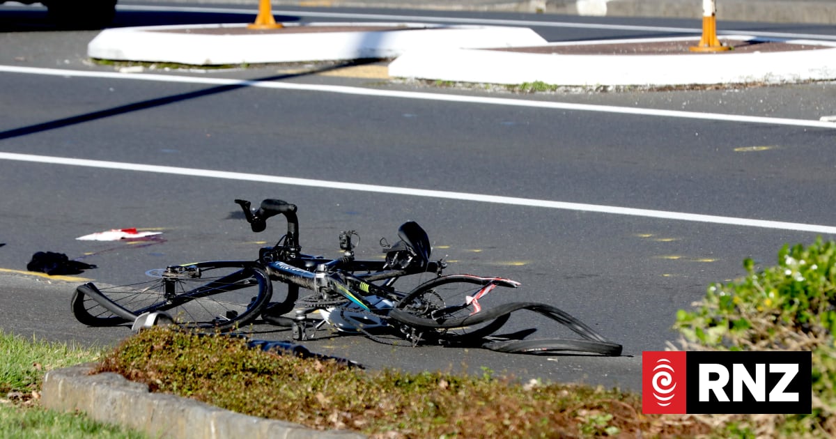 Man veered into teenage cyclists, allegedly killed dog in violent rampage in Auckland's Epsom