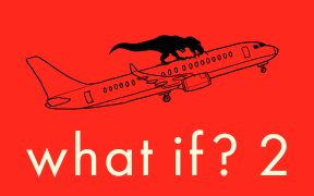 What If book cover