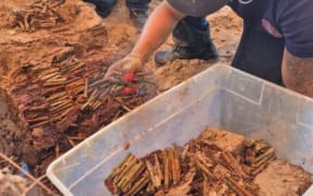 Unexploded WWII ordnance unearthed at American Memorial Park in Saipan