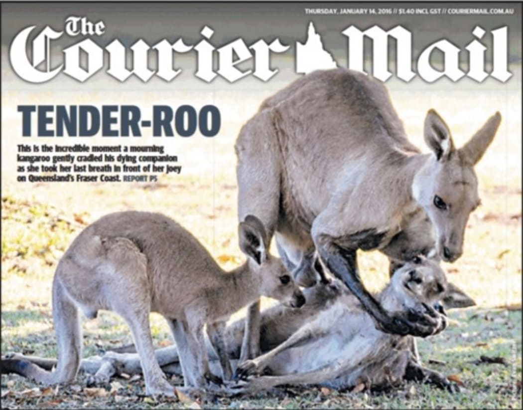 The front page of the Brisbane Courier Mail