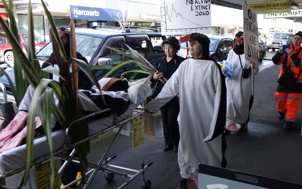 A yellow eyed penguin 'Death March' was held in Balclutha by Forest and Bird members in penguin suits.