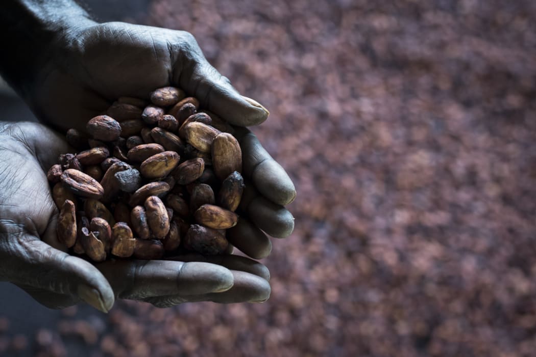 A revival of the cocoa industry has played a key role in helping to cement peace in the community of Konnou, in southern Bougainville.