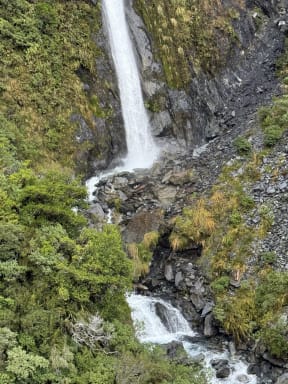 Molly, a border collie, was lost in alpine backcountry near Hokitika for almost two weeks.