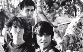 The Verlaines