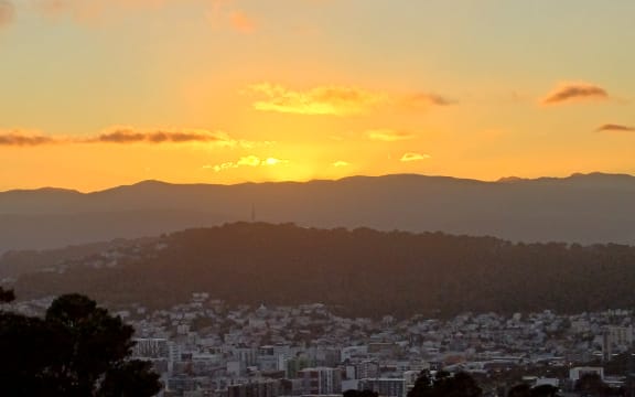 Wellington Sunrise