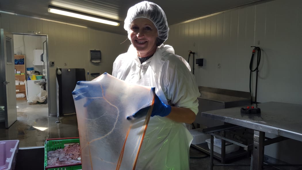 Angela Payne holding the amnion part of placenta that is high in collagen.