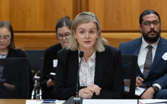 Labour MP Camilla Belich gives evidence to the Education and Workforce Select Committee about her own member's bill.