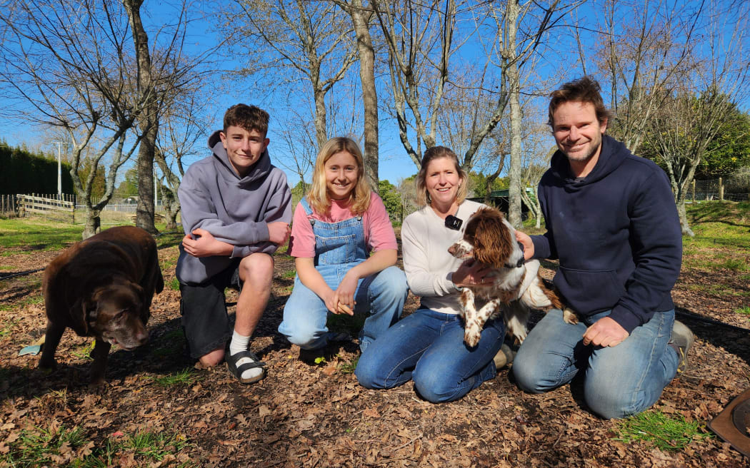 The four members of the Dodd family, including Matthew (14) and Hayley (17) with dogs Simba and Indie posing for the camera in the paddock. Simba is a chocolate lab and Indie a Springer Spaniel