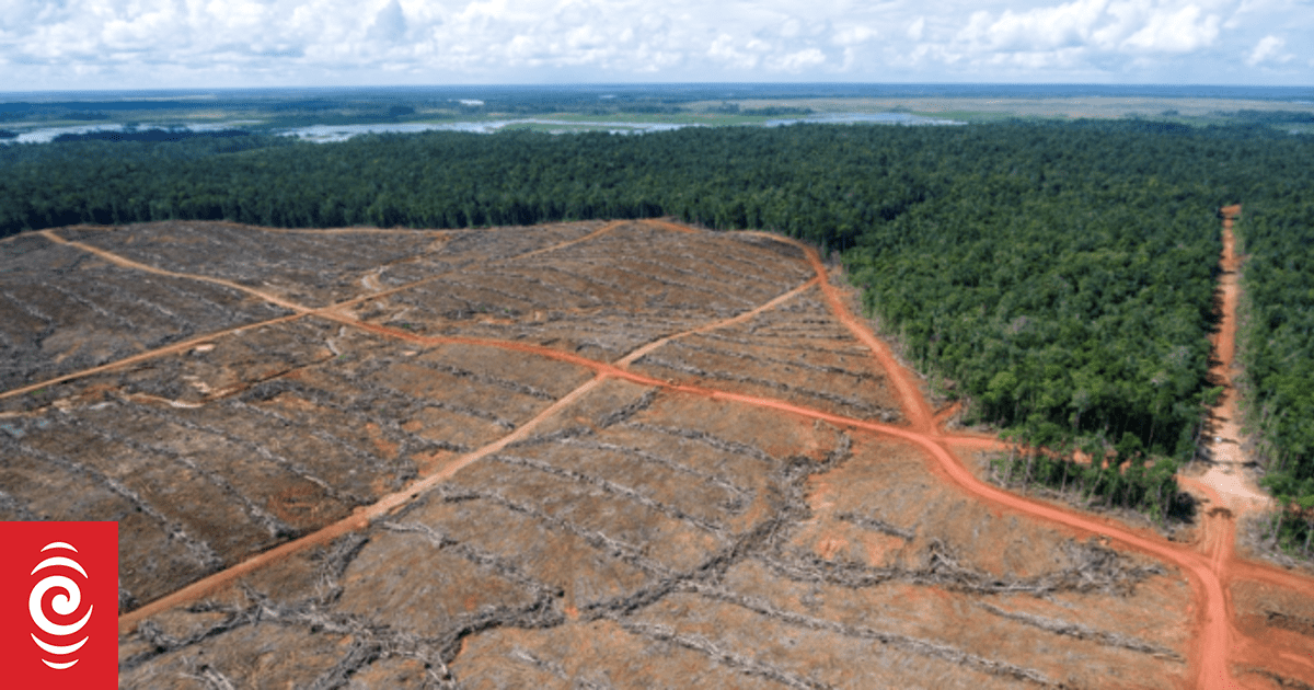New film on West Papua highlights 'ecocide' | RNZ News