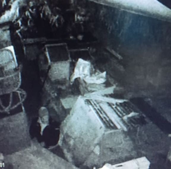 The rabbit rustler was caught on one breeder's CCTV cameras.