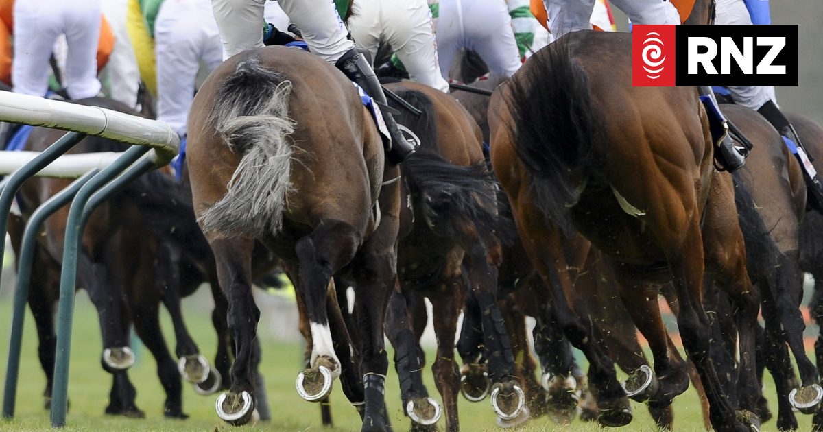 NZ jockey avoids serious injury after fall - Vimarsana News