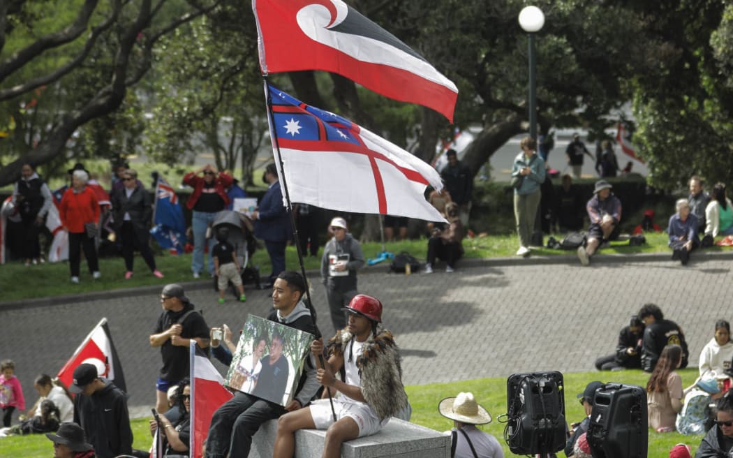 Hikoi at parliament