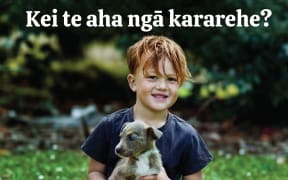 Te Ataakura Pewhairangi