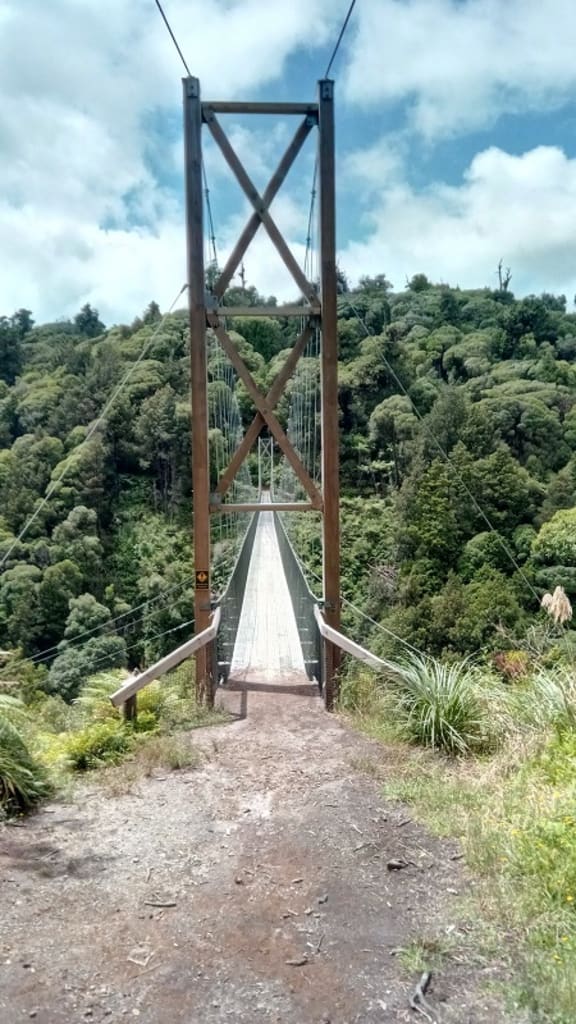 One of the amazing suspension bridges