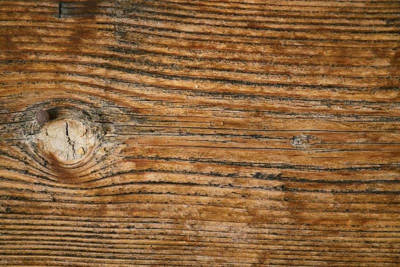 Reading floorboards can reveal what type of tree produced it, and how it grew.