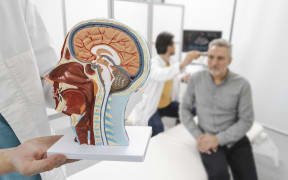 Cranial ultrasound scan, conceptual image. (Photo by PEAKSTOCK / SCIENCE PHOTO LIBRAR / LDA / Science Photo Library via AFP)